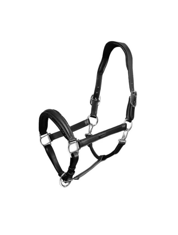 Anatomic Glimmer Leather Halter Black