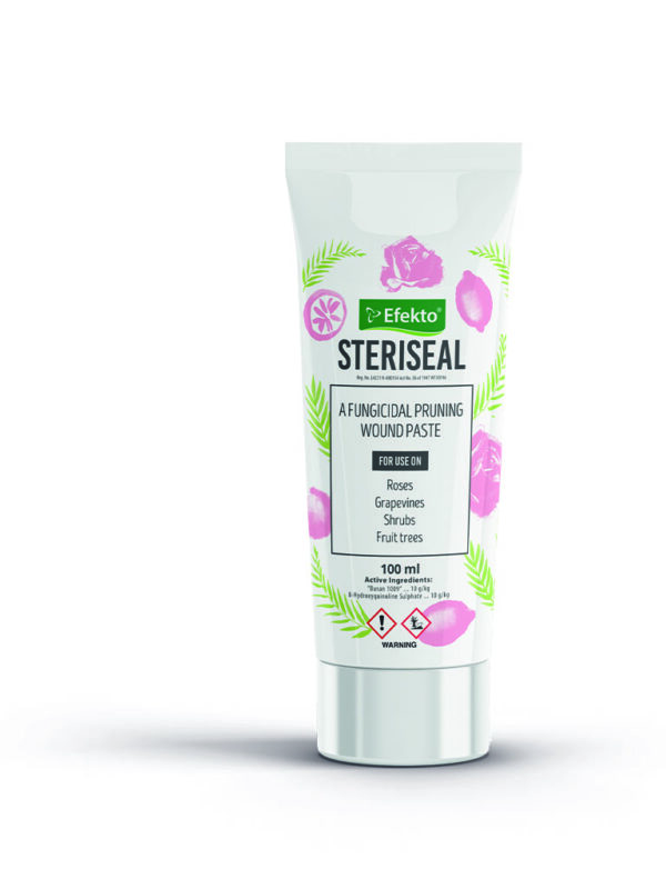 Efekto Steriseal 5L